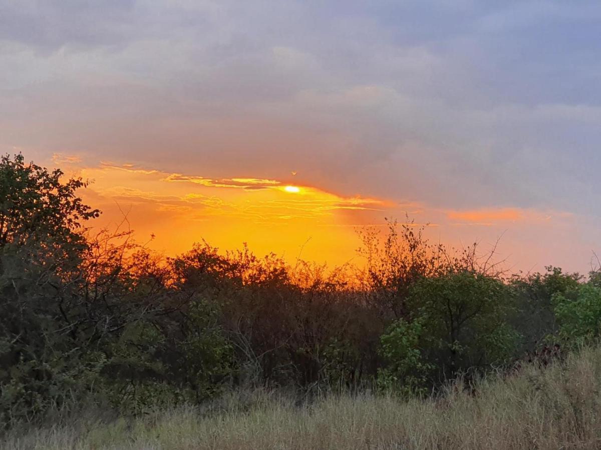 Masorini Bush Lodge & Safari Tents Phalaborwa Buitenkant foto