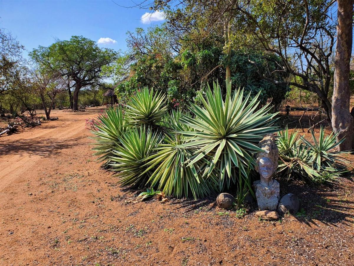 Masorini Bush Lodge & Safari Tents Phalaborwa Buitenkant foto
