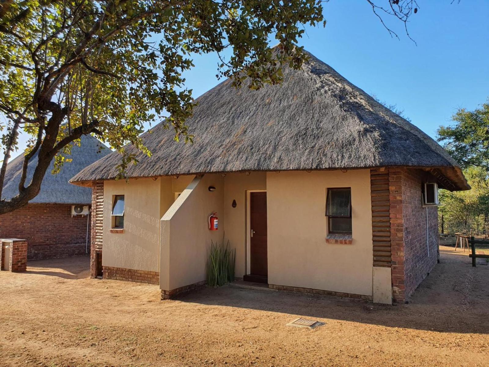 Masorini Bush Lodge & Safari Tents Phalaborwa Kamer foto
