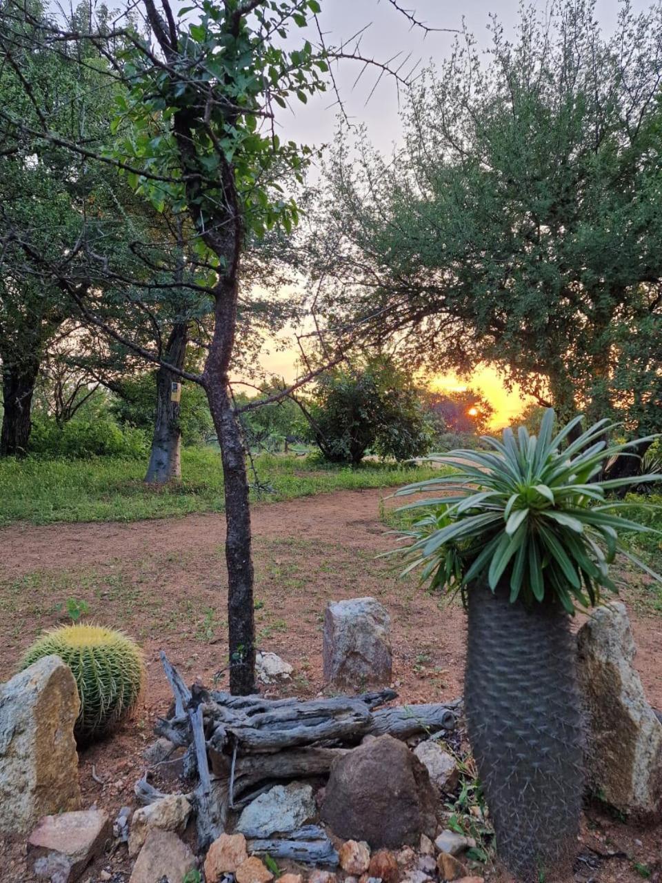 Masorini Bush Lodge & Safari Tents Phalaborwa Buitenkant foto