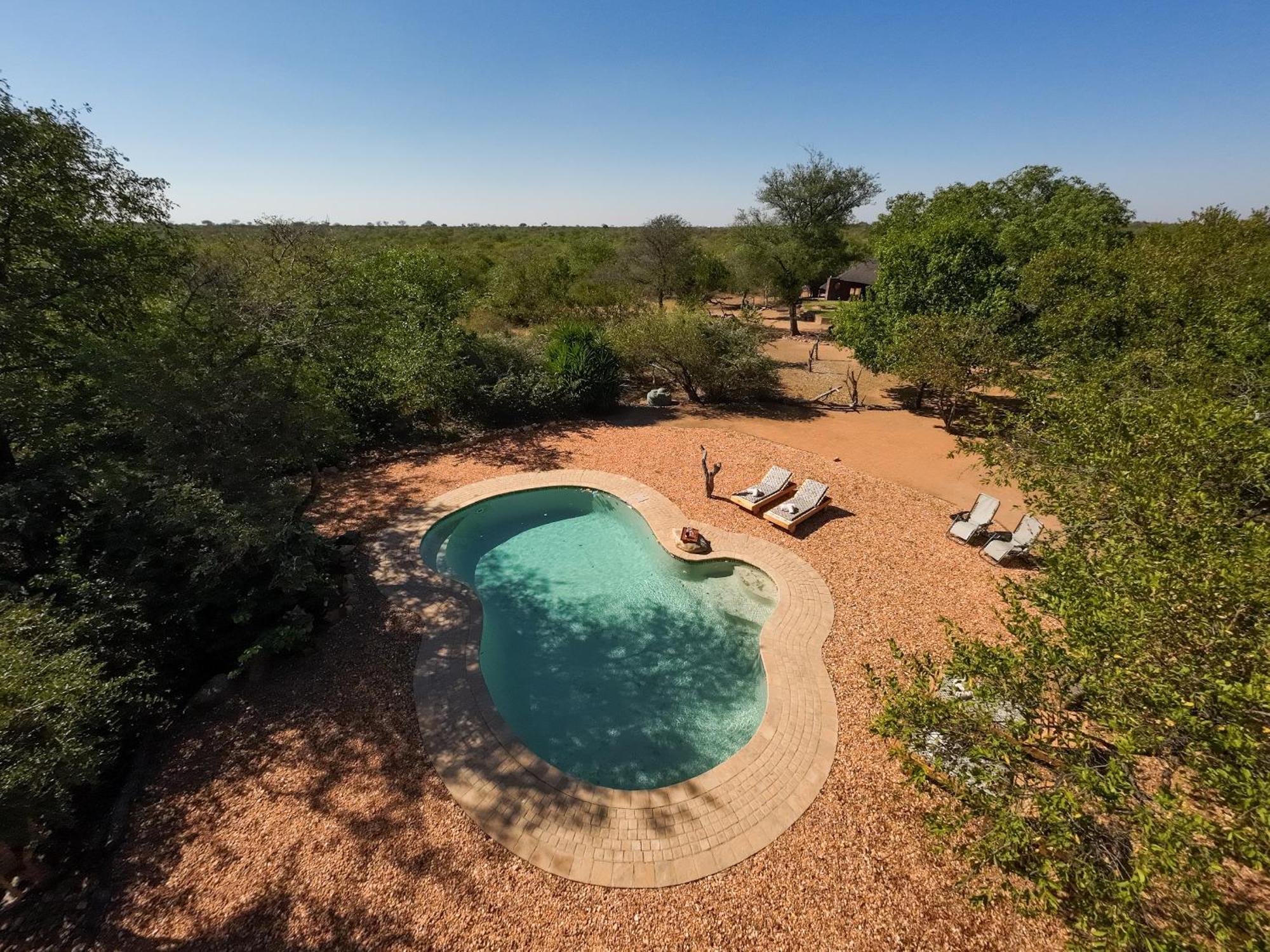 Masorini Bush Lodge & Safari Tents Phalaborwa Buitenkant foto
